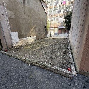 現地写真　南側から撮影